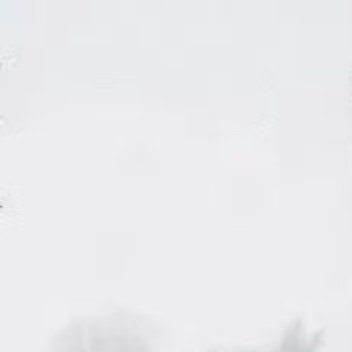 0900《水槛遣心二首·其一》杜甫去郭轩楹敞，无村眺望赊。澄江平少岸，幽树晚多花