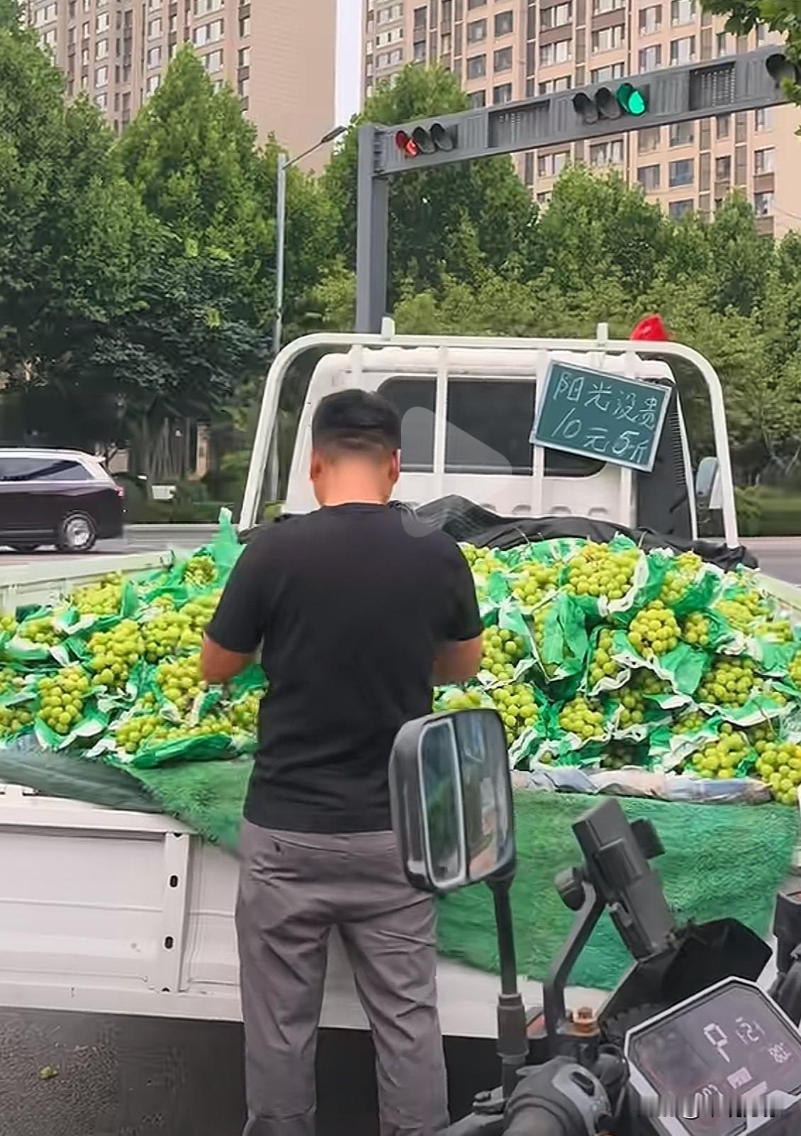 前几年买不起的阳光玫瑰，现在怎么这么便宜了？10元5斤😯阳光玫瑰