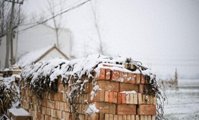 河南暴雪下疯了！但你真懂雪吗？3个冷知识让你惊掉下巴[无奈吐舌]河南的朋友今早推