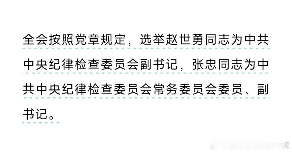 赵世勇、张忠任中纪委副书记。