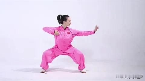 千年养生功法——八段锦今天，公园练太极拳，遇见部分练健身气功八段锦的
