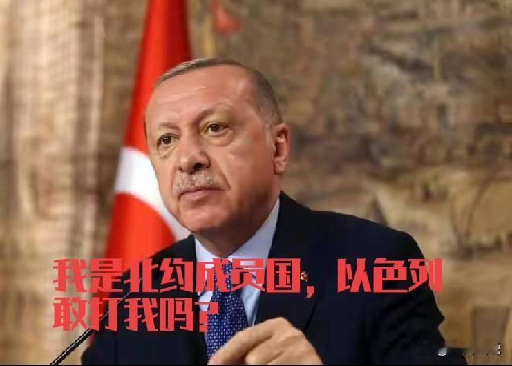 终于知道为啥美以对伊朗开战以来，土耳其一直保持沉默，大嘴埃尔多安一改往日风格，闭