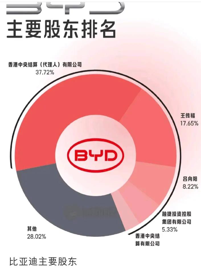 比亚迪十大股东排名1️⃣香港中央结算（代理人)有限公司持109745.3