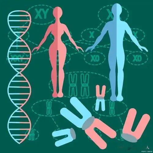 一位生物学家说：永远不要低估基因的强大。孩子长大后，尤其是男孩，会在行为上