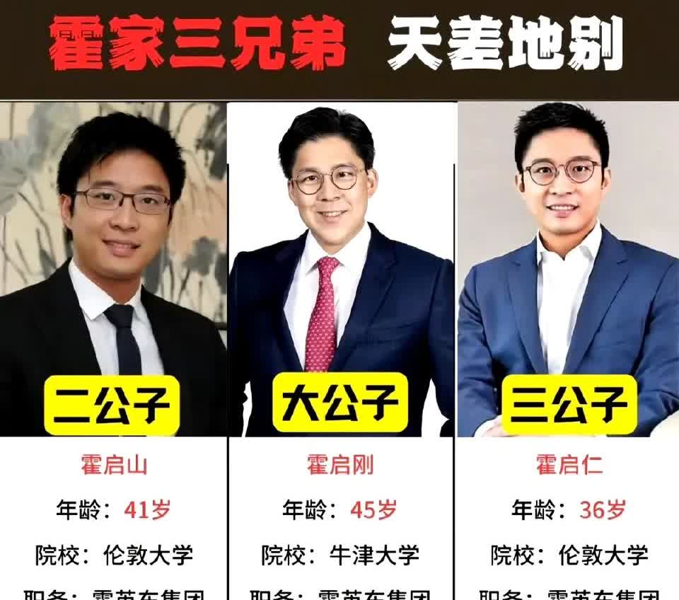 霍震霆的三个儿子：霍启刚，霍启山，霍启仁，均是霍震霆和朱玲玲所生。