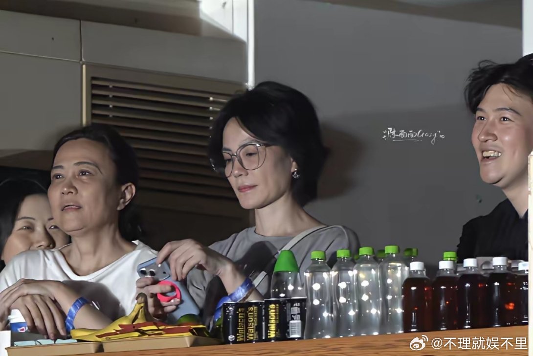 我能理解王菲去看那英演唱会，也能理解她带着经纪人一起，不能理解的是，演唱会时她右边这位女士，李亚鹏前