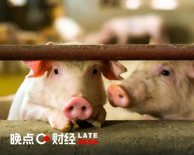 后猪周期时代, 牧原、温氏、新希望投资价值出现分化