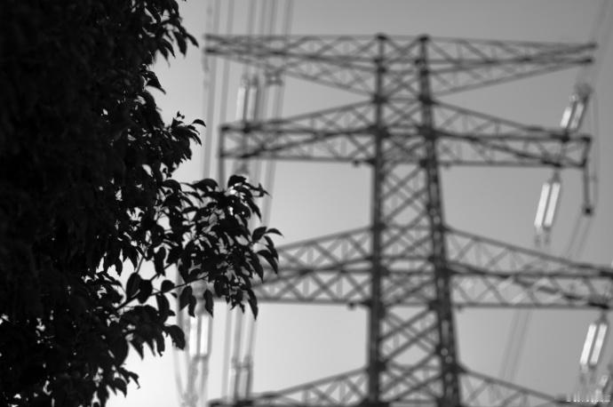 摄像师张凌赫出图了张凌赫发了他拍的风景照黑白调的简洁、色彩里的鲜活，张凌赫镜头下