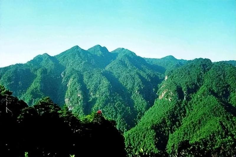 2013年，云南一小伙上山采药时听到奇异叫声。那声音不像鸟叫也不像兽吼，倒像