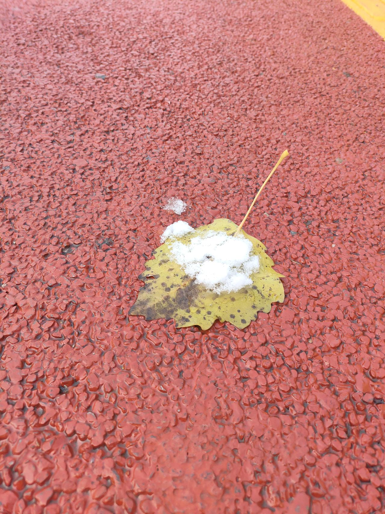 以前有人开玩笑说，找对象要找有车有房，父母双亡的但是父母双亡，一般也意味着这个