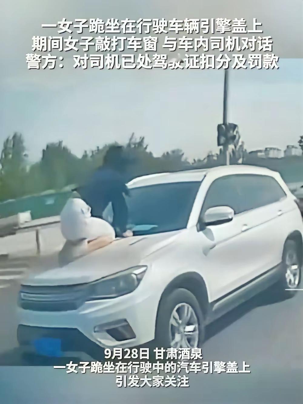 明明能坐下来好好吵，偏要在车流里玩“引擎盖惊魂”，这哪是闹矛盾？简直是拿命赌任性