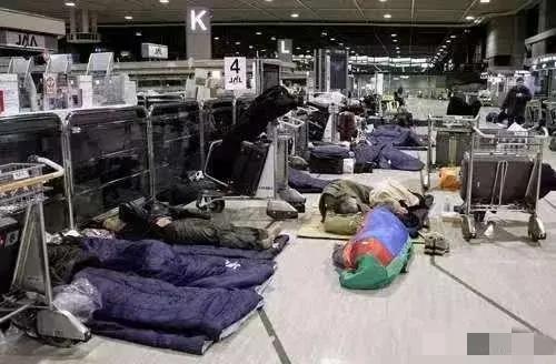 “国家必须派包机接我回家！”这话听着是不是有点炸裂？最近日本机场有游客滞留，张口