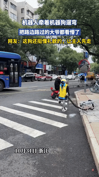 “彻底解释不清了！”浙江马路上，一机器人牵着一条机器狗在过斑马线，旁边路过一骑电