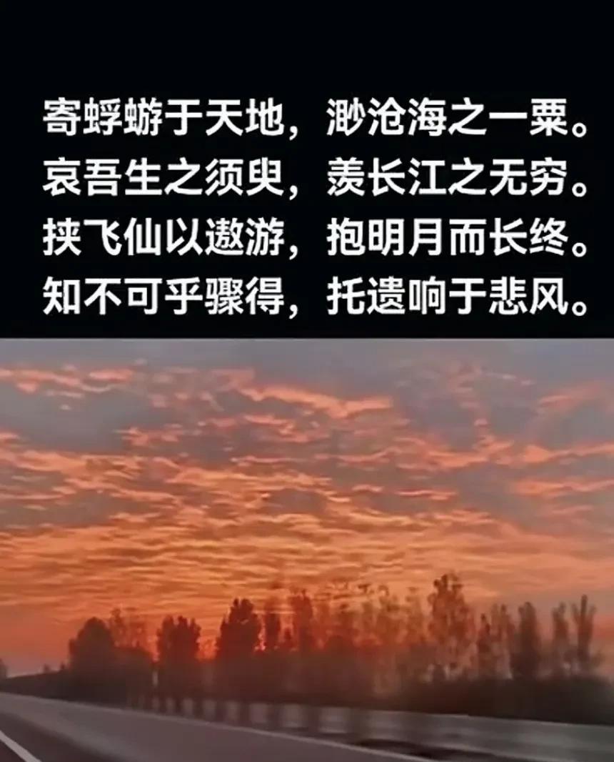 活到一定年龄你就会明白，人这一辈子有3件事，是你无论如何也决定不了的！第一个是
