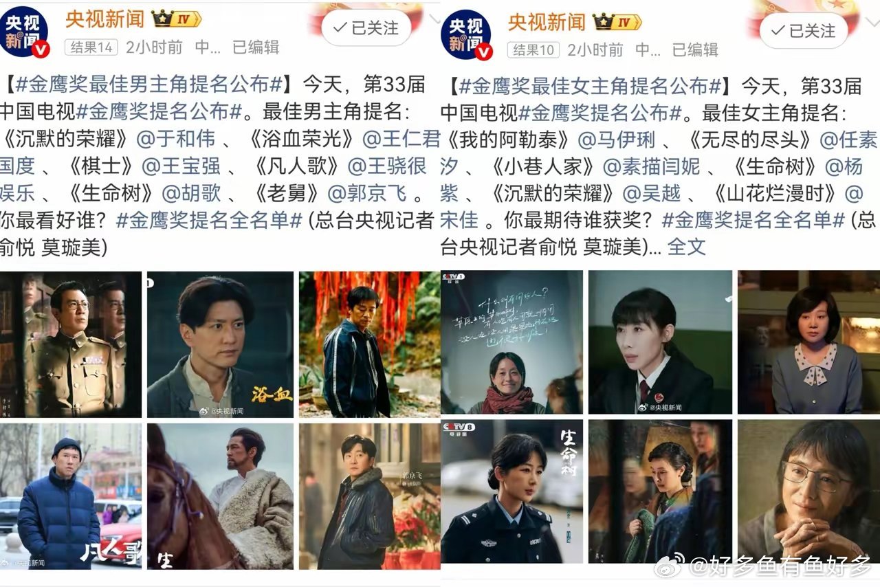 今年的金鹰奖提名名单出了，这次挺好猜的，有几个奖项已经很明显了，最佳男主角:不是