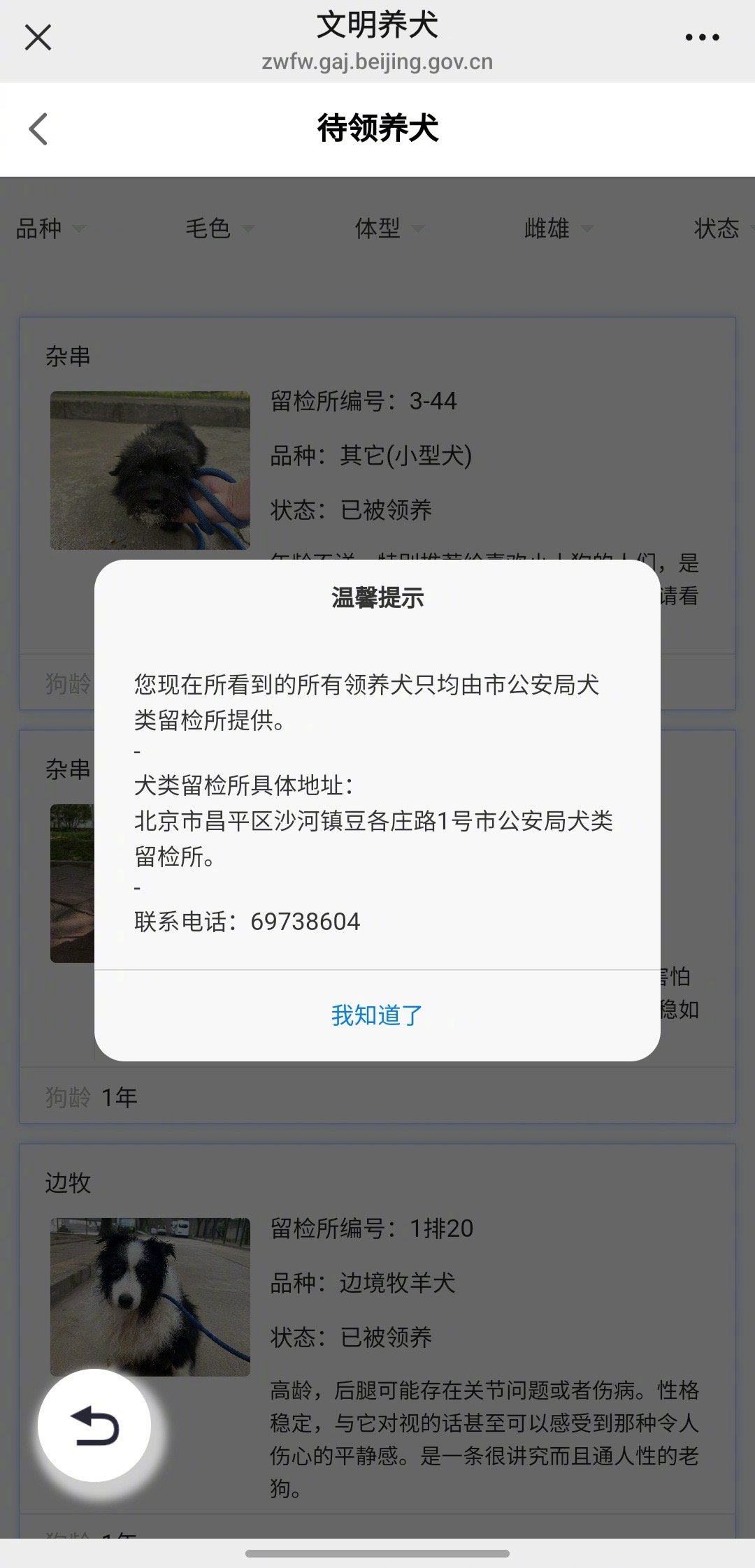 北京警方待领养犬小作文感动网友，领养人数显著增加