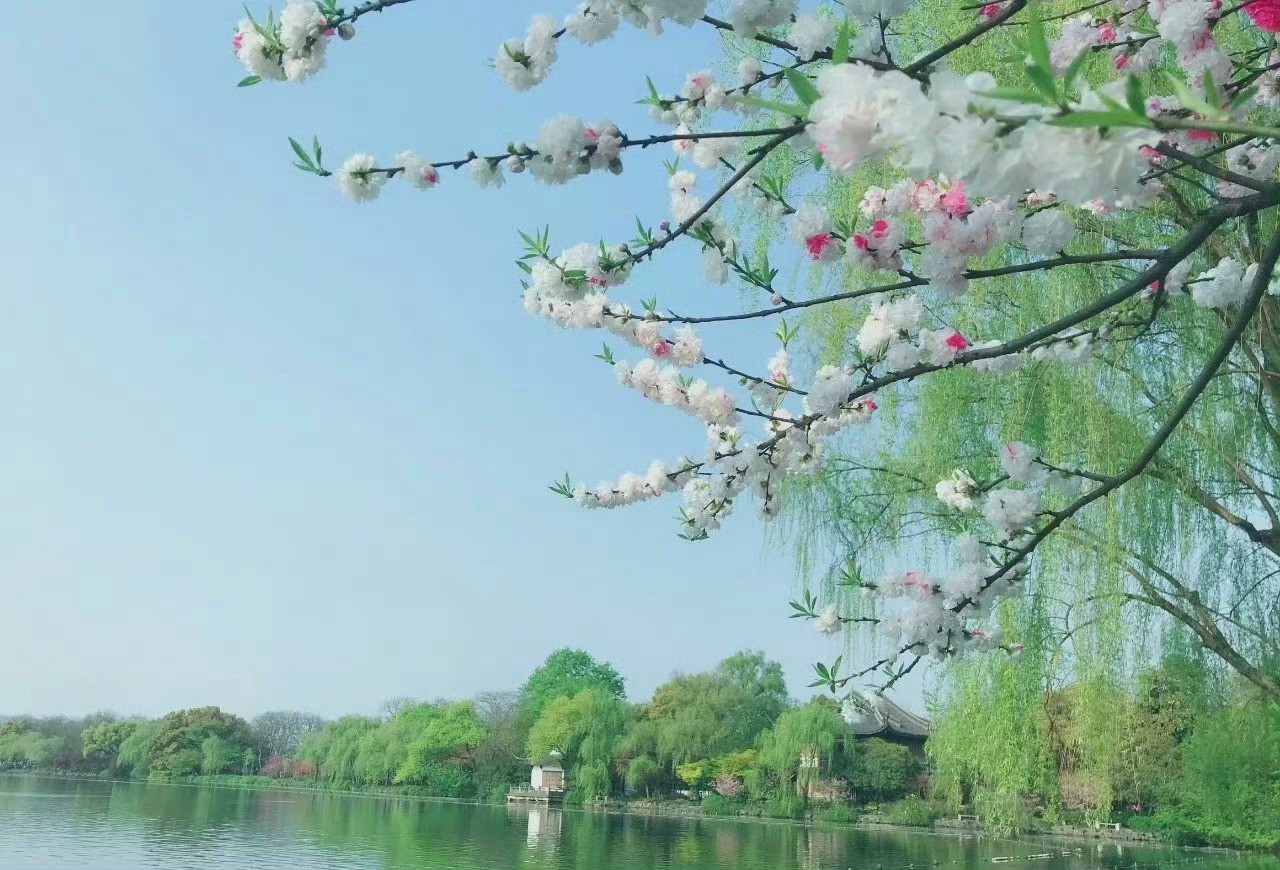 忆杭州西湖，最美的人间天堂！