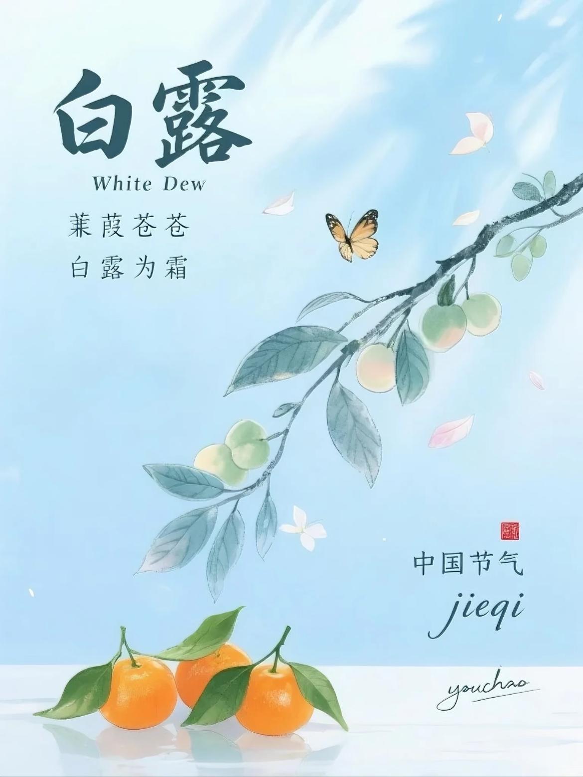 今天是白露，很多网友却不知道白露的来历，以及白露之后要注意哪些问题，今天就一次说