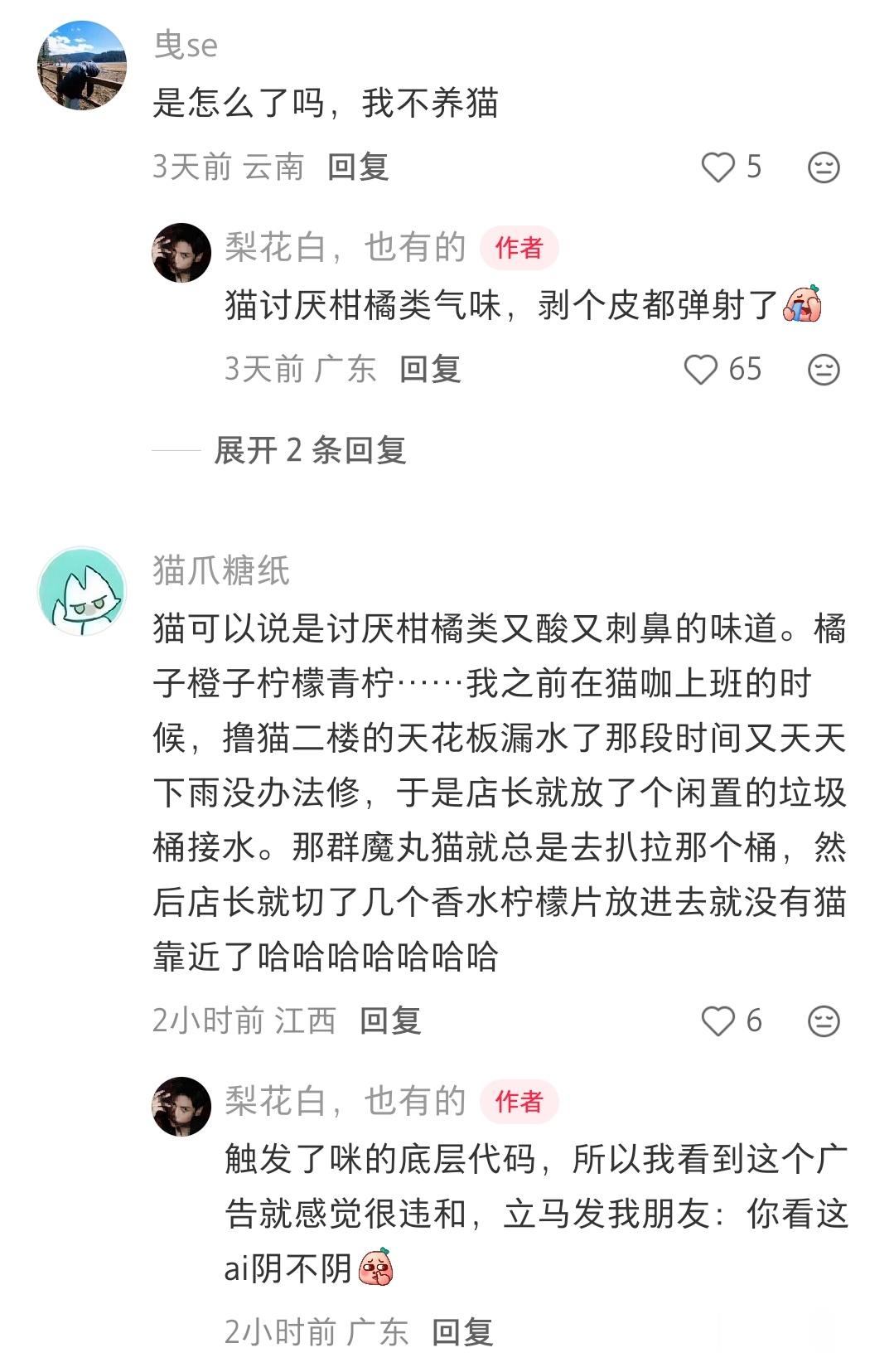 猫咪超讨厌柑橘类水果的吧