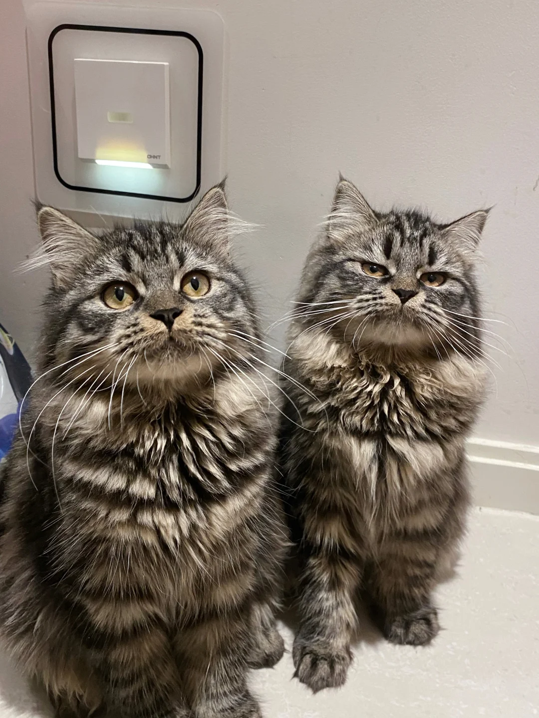 以后就叫我做大哥 我保护你