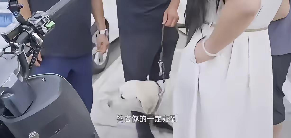 基地人员接走芬迪前对虐狗女说：答应你的一定会办到的”或许他们低估了媒体的力量！