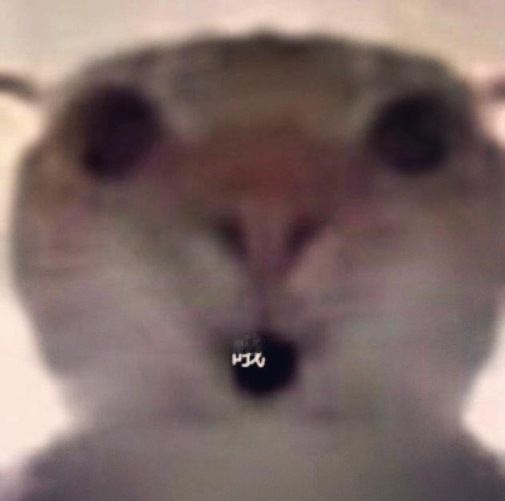 不知道你有没有发现，越来越多的人都不愿意讲话了！