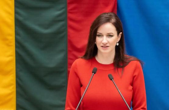 立陶宛请求访华，当面向中方认错？中方已开出条件，做不到就免谈 自从2021