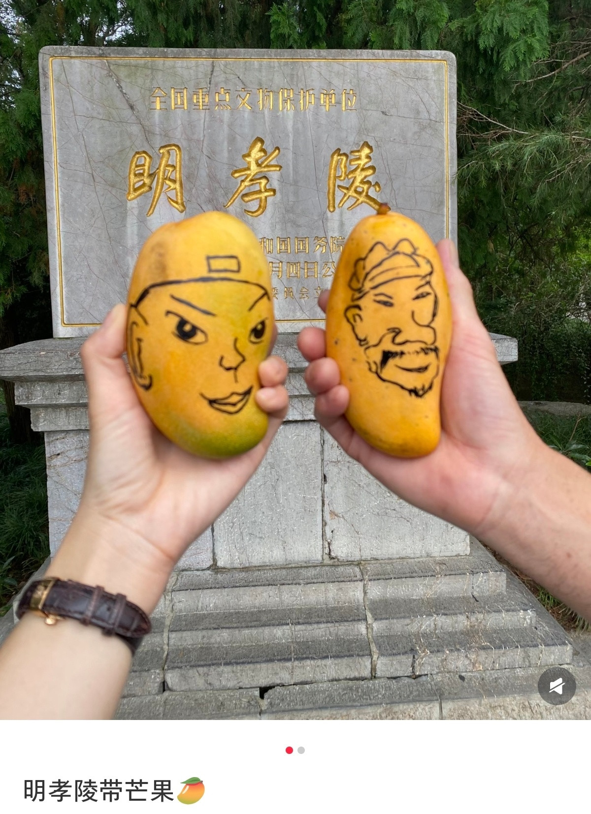 带芒果去明孝陵旅游，哈哈哈哈哈哈[笑着哭]​​​