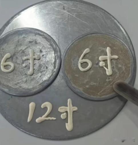 “脑子太好用了!”女子去店里点了一个12寸的披萨，不巧12寸的卖完了，店员就找女