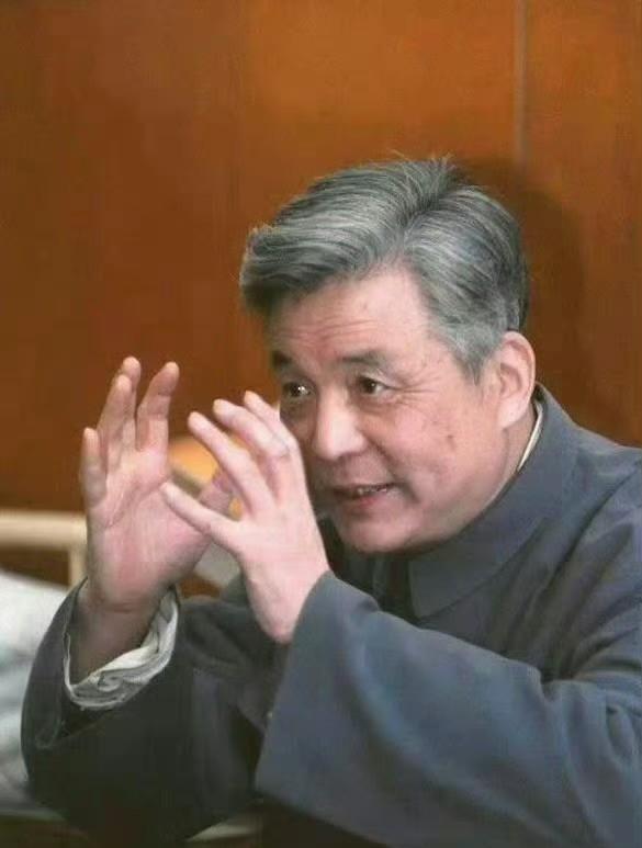 他是中国第一颗原子弹、氢弹理论设计的总负责人，隐姓埋名28载，用算盘来克服技术难