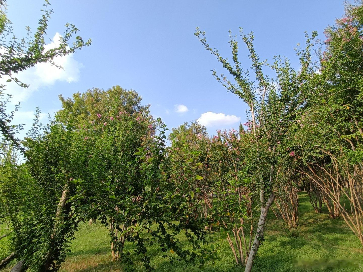 手机摄影外面的世界很精彩，值得时时回味​​​