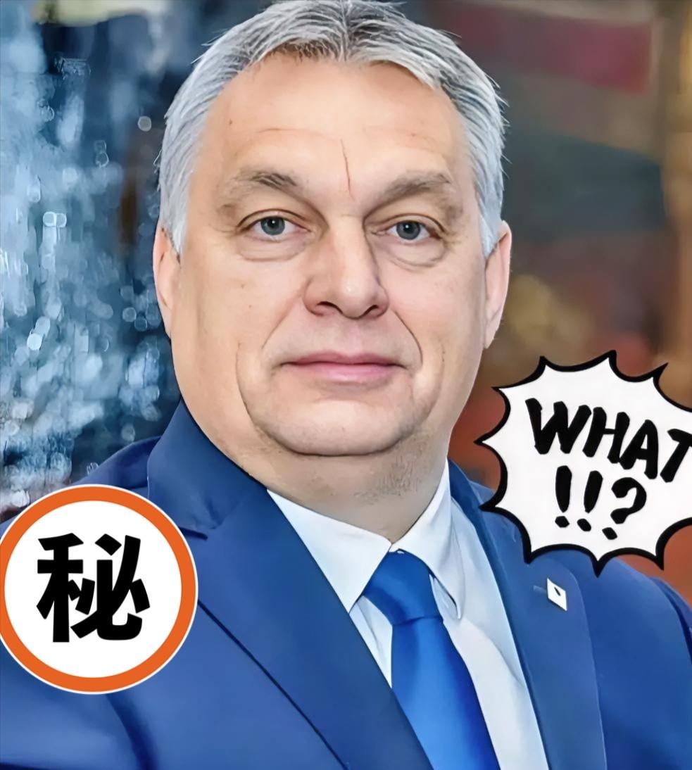 据红星新闻报道，匈牙利总理欧尔班于10月16日作出重磅表态，他直言，当前欧洲正深
