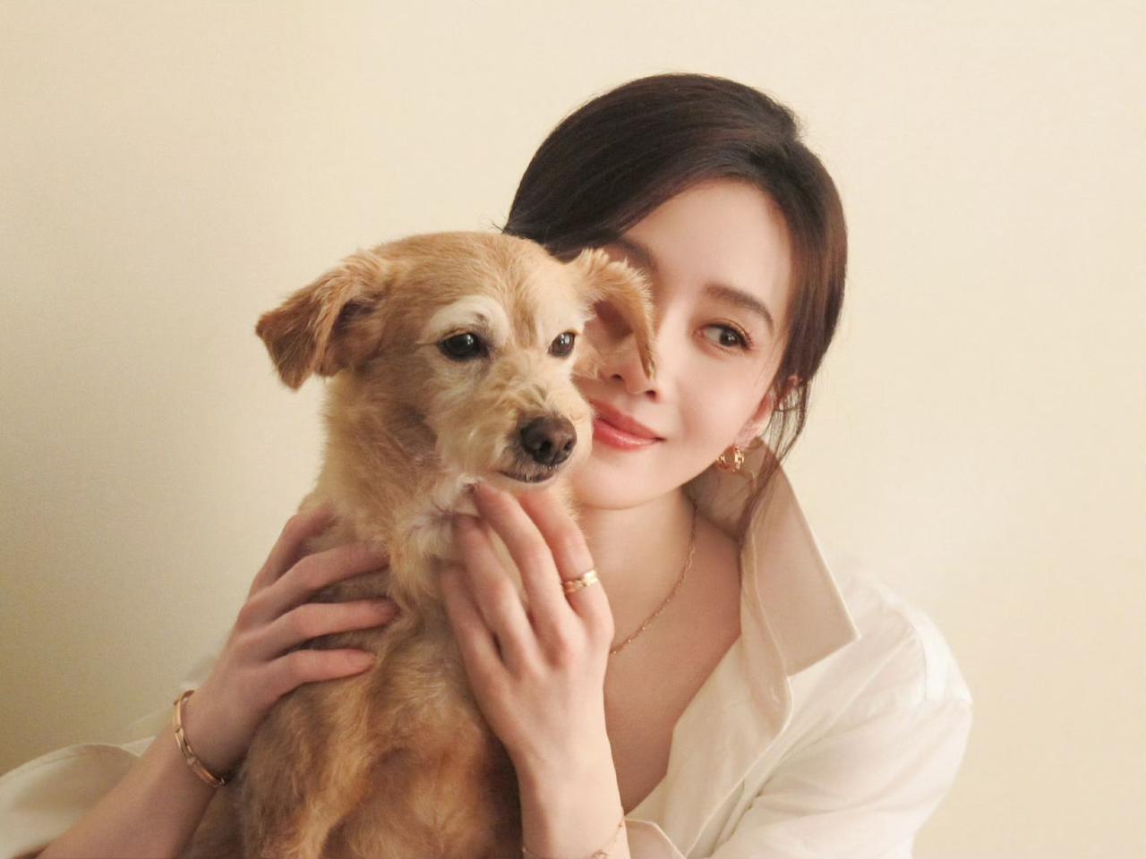 诗诗美丽温柔和小狗狗的治愈时刻😘刘诗诗