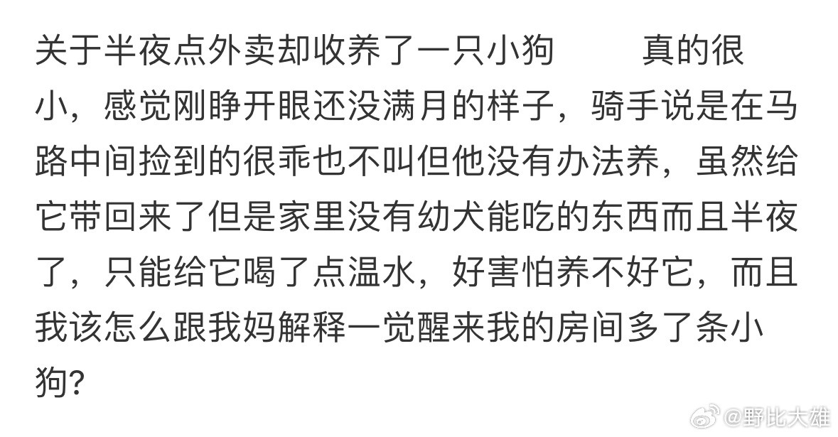 关于半夜点外卖却收养了一只小狗​​​