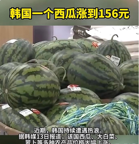 现在天气热，韩国的蔬菜瓜果开始飞速的涨价了。据说韩国的西瓜现在一个可以卖到3万韩