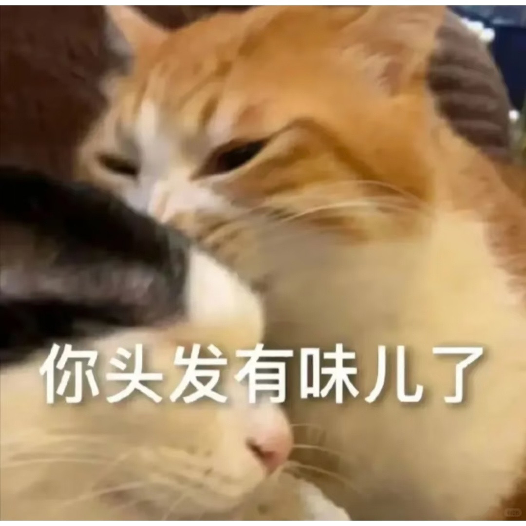 这种有趣的表情包的麻烦速速扔给我❕​​​