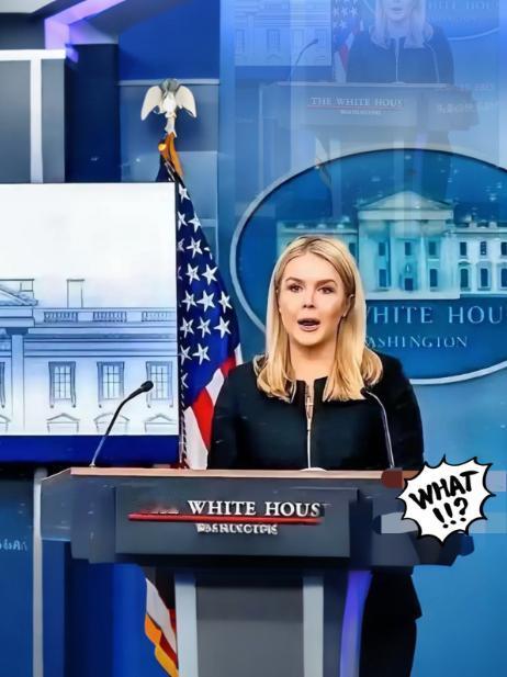 终于说了句大实话美国被中国再度拒绝了中国不想跟我们合作了，中国想要实现半导体