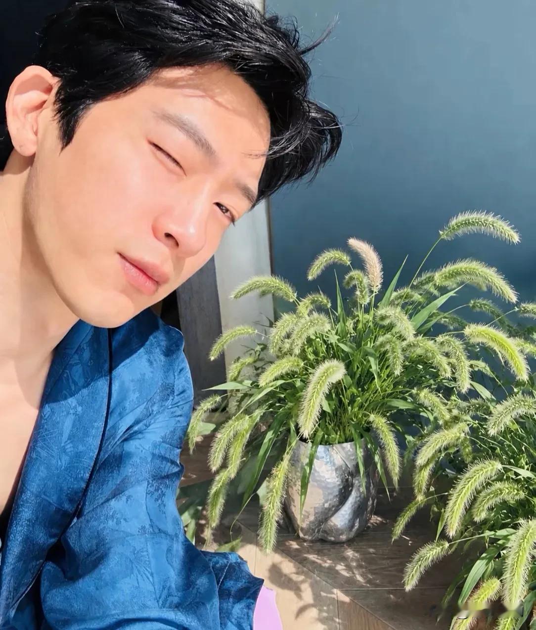 佩服网友的脑洞！差点就被骗了。以为井柏然真的晒了狗尾草，在剧里栾念讽刺尚之桃说的
