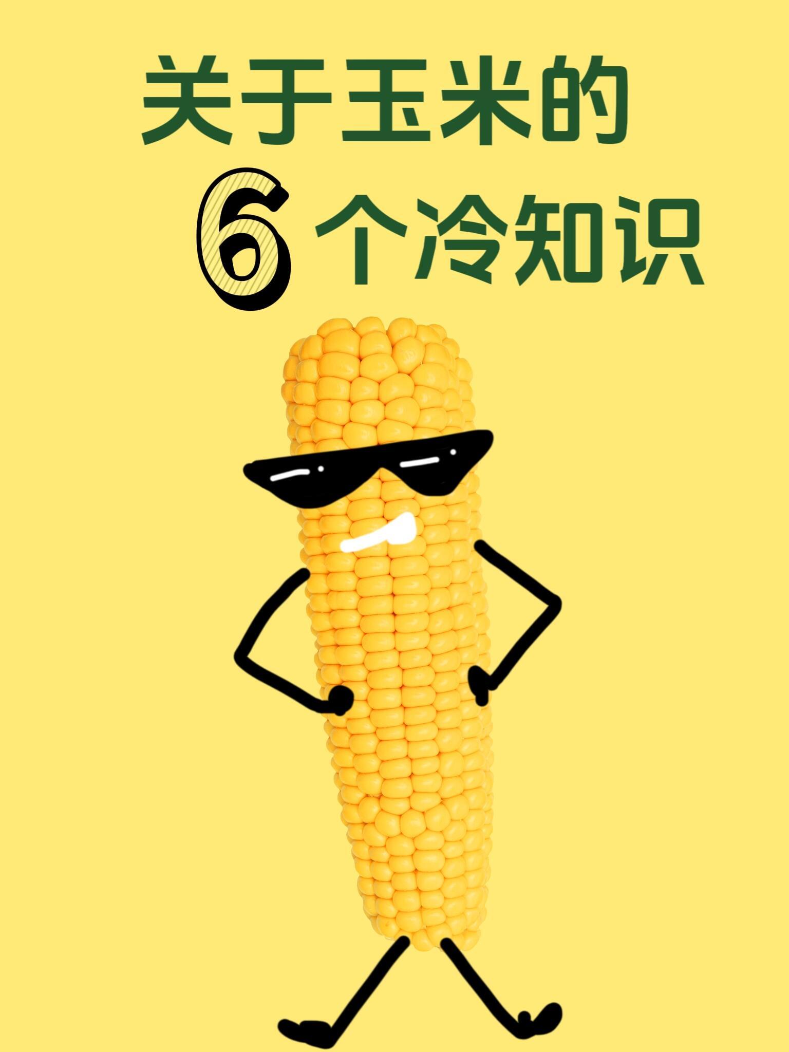 玉米的奇妙冷知识，你知道几个？你以为熟悉的玉米，其实藏着许多意想不到的秘密。玉