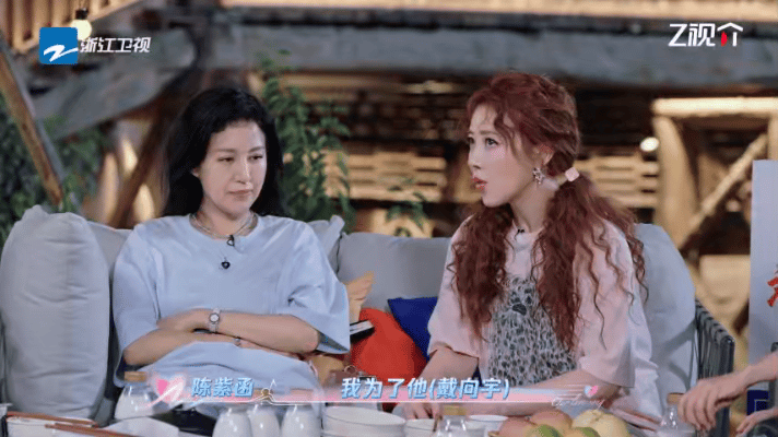 陈紫涵在综艺《天声一对》中自曝为了戴向宇停工三年做了十二次试管，陈乔恩说是因为爸
