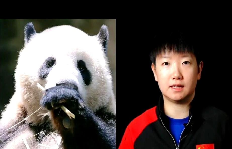 成都混团世界杯宣传片也太会了吧！跟熊猫互动的镜头藏都藏不住，又萌又飒的反差感