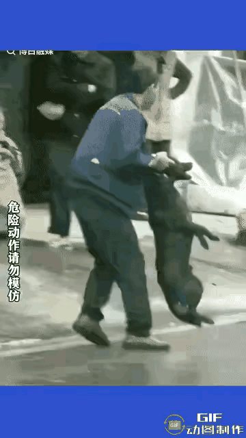 这大哥可以，不再给大狗机会。大黑狗来咬他，他不顾狗主人苦苦哀求，抡起来摔在地上。