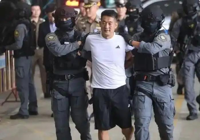 万万没想到，缅甸警方端掉个电诈窝点本来是大快人心的好事，结果现场一搜，所有人都傻