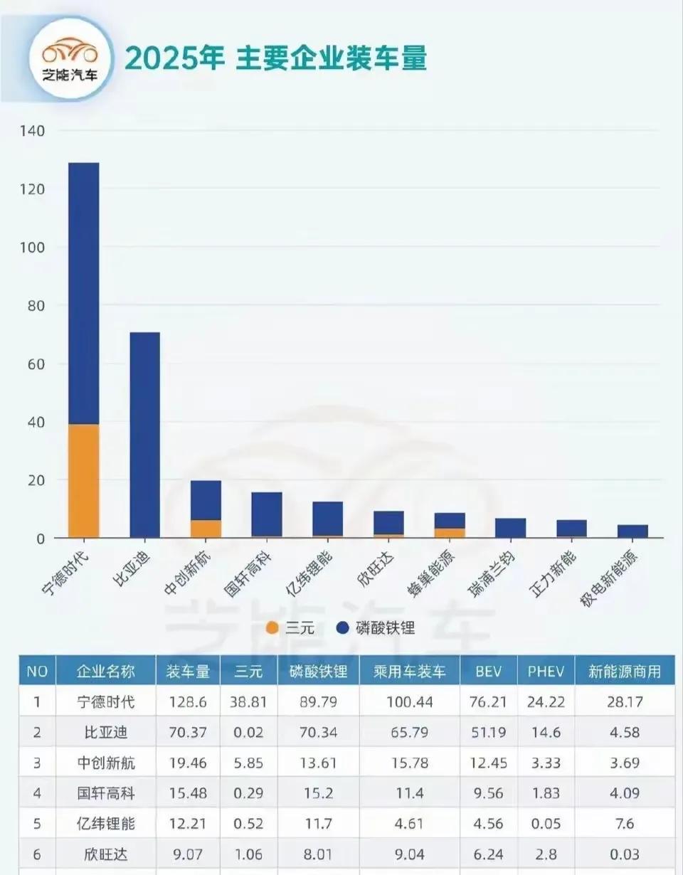 事实证明比亚迪又一次赌对了，2025年主流电池厂商的磷酸铁锂电池装机量都远远大于