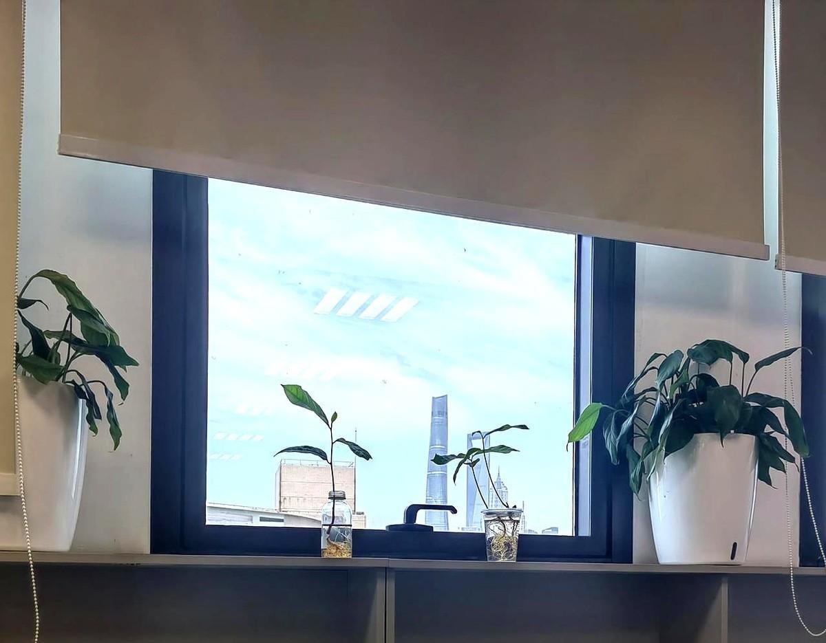 我这个人情商就是这么低，就是这么不懂人情世故，难怪上班15年仍然是个小啰啰。我