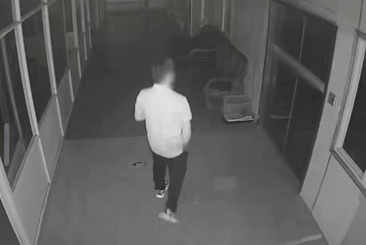 犯罪嫌疑人胡某系涉案企业离职人员，其于6月3日办理离职手续后，凭借熟知厂区布局、