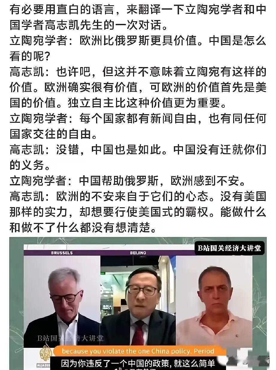 高志凯教授对立陶宛学者火力全开，在高教授面前，这个立陶宛学者被连续暴击，高教授不