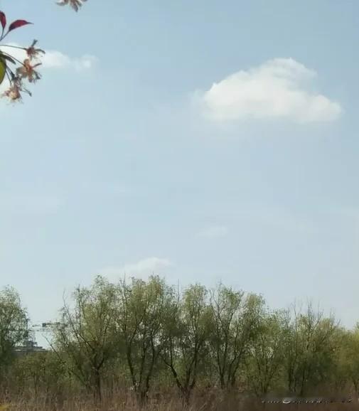 外交部发出赴日安全提醒，背后这三件事每个家庭都该知道今天晚上，很多人的微信群