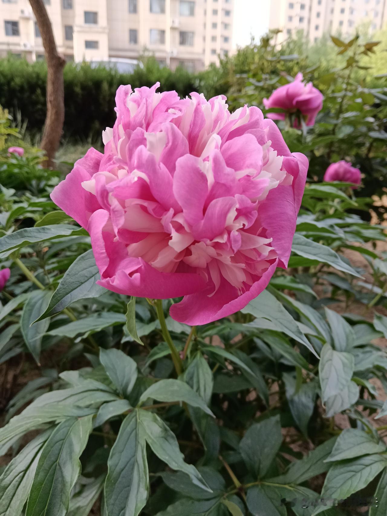 一辈子不吃亏的社会潜规则（建议收藏）​​1. 过年回家给父母的钱，要当着兄弟姐