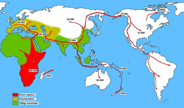 “猴子”进化成人类的过程, 为什么如此同步?